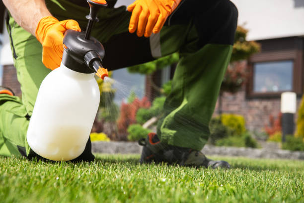 Best Residential Pest Control  in Jersey City, NJ