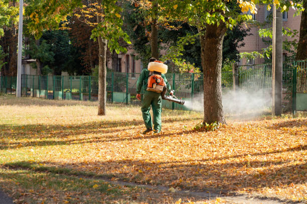 Best Termite Control Services  in Jersey City, NJ